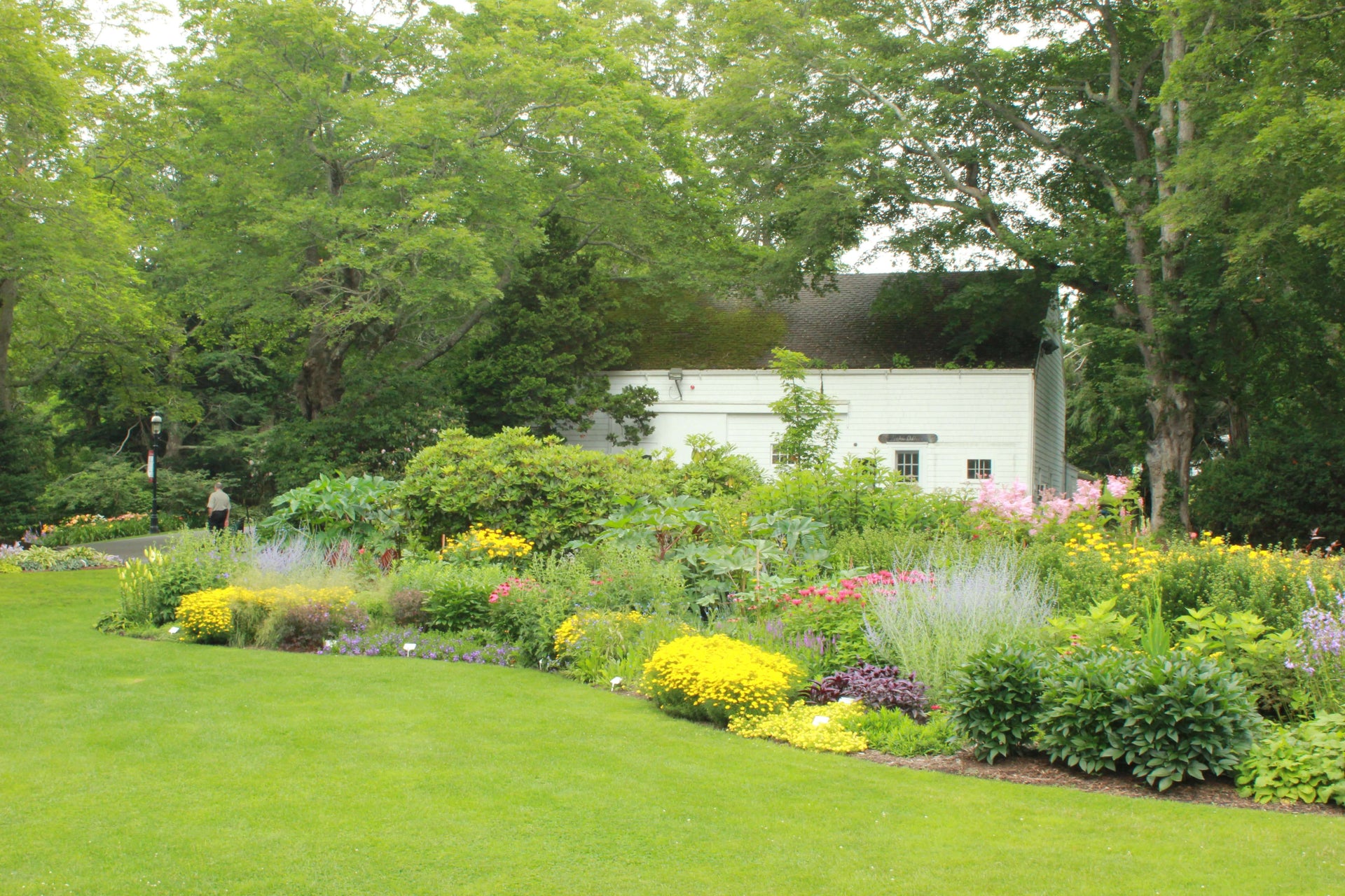 Rain Gardens